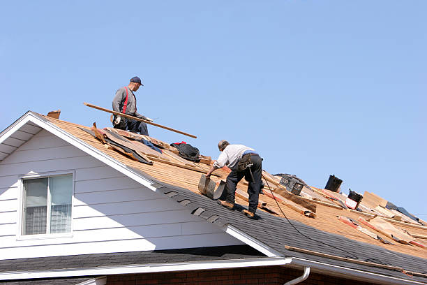 Best Chimney Flashing Repair  in Manson, IA
